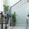 Staircase with Harmony crossed arch iron balusters